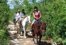 Horseback Riding